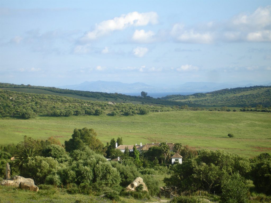 El Cortijo, 4 cottages in Tarifa — photo 1