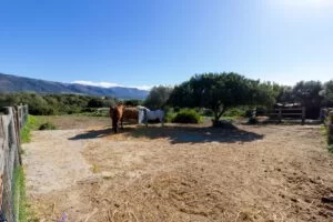 Luxury Villa with Private Pool in Tarifa, Spain | Luxury Villa Rental in Tarifa, Costa de la Luz, Spain | Tarifa Connections