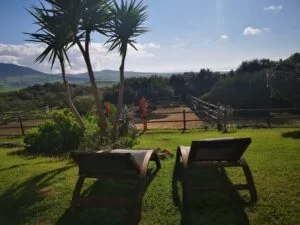 Luxury Villa with Private Pool in Tarifa, Spain | Luxury Villa Rental in Tarifa, Costa de la Luz, Spain | Tarifa Connections