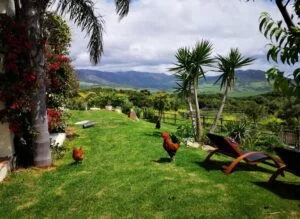 Luxury Villa with Private Pool in Tarifa, Spain | Luxury Villa Rental in Tarifa, Costa de la Luz, Spain | Tarifa Connections