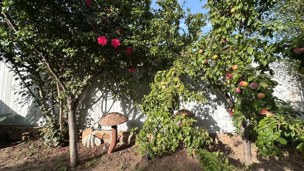 Casa Pena Vista00045