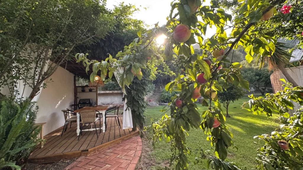 Casa Pena Vista00049