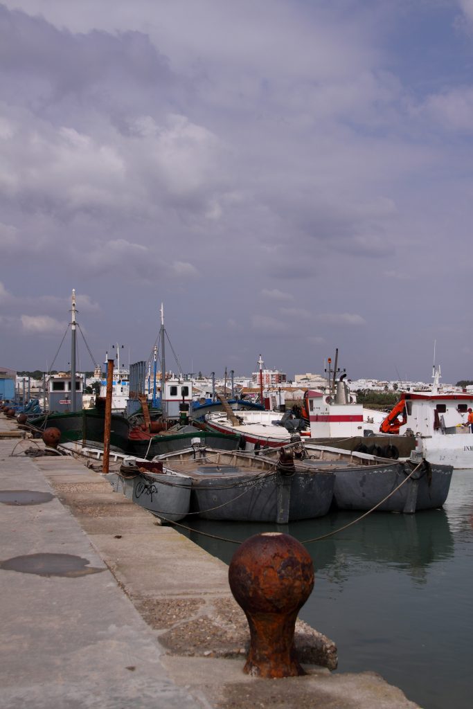 Barcos de almadraba de atún en Barbate, Cádiz. Foto: PEPE GADEIRAS (CC BY-SA 4.0)