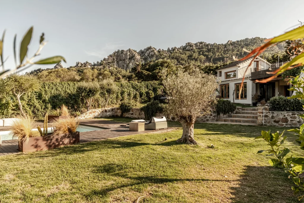 Garden and pool at Villa Gran Paraiso with olive tree and mountain backdrop